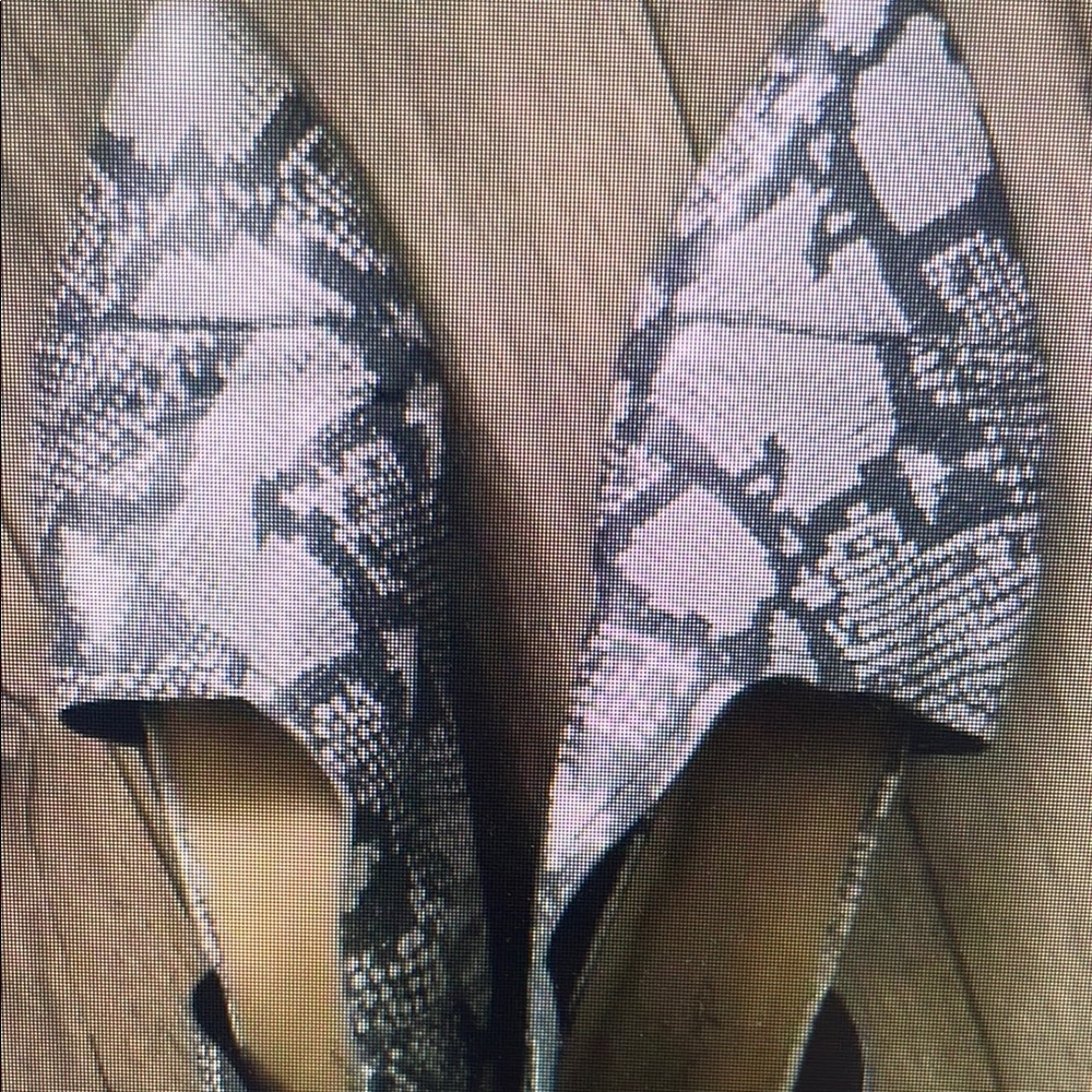 Snakeskin Patterned Women's Shoes
